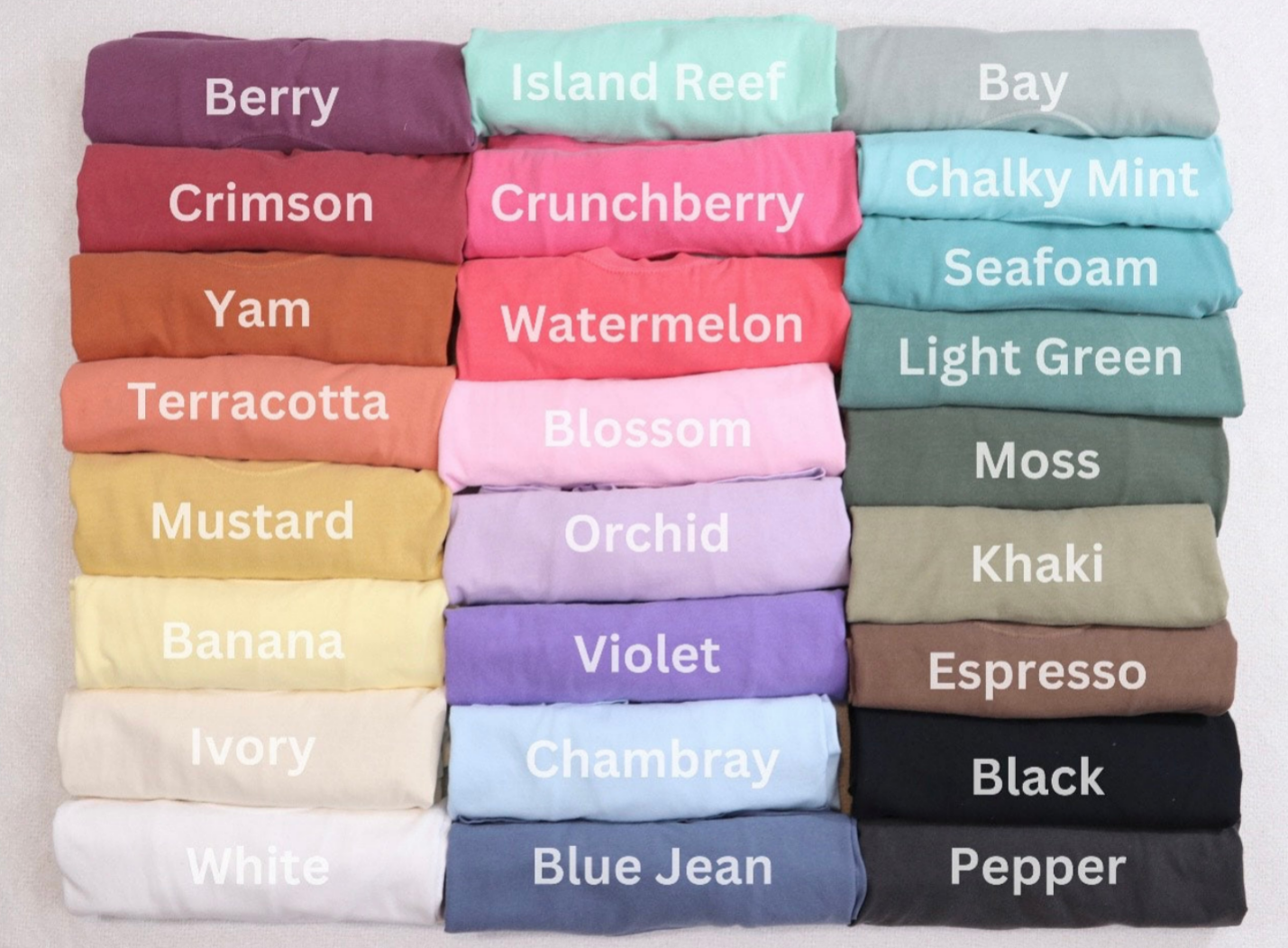 Cute ghosts camping embroidered Halloween spooky season Comfort Colors tshirt