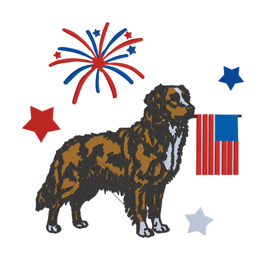 Novascotian doggie USA Fourth of July embroidered Comfort Colors t-shirt, Fourth of july embroidered shirt, Comfort colors shirt, Comfort Colors fourth of july shirt (Copy)